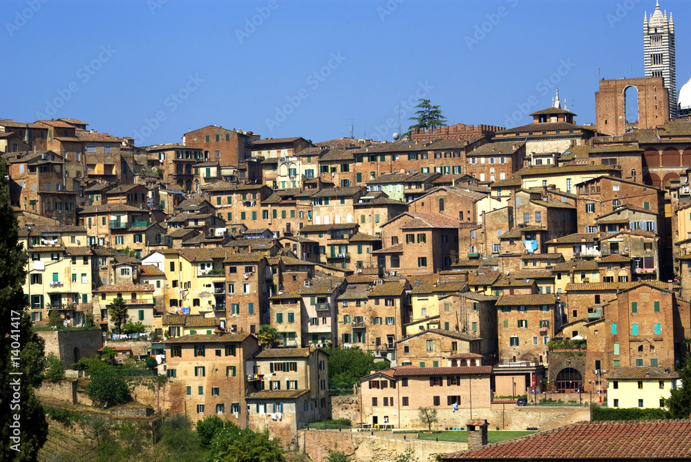 Fototapeta premium Siena, panorama
