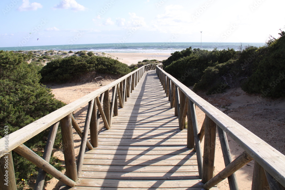 Fototapeta premium ACCESO A LA BARROSA, CADIZ