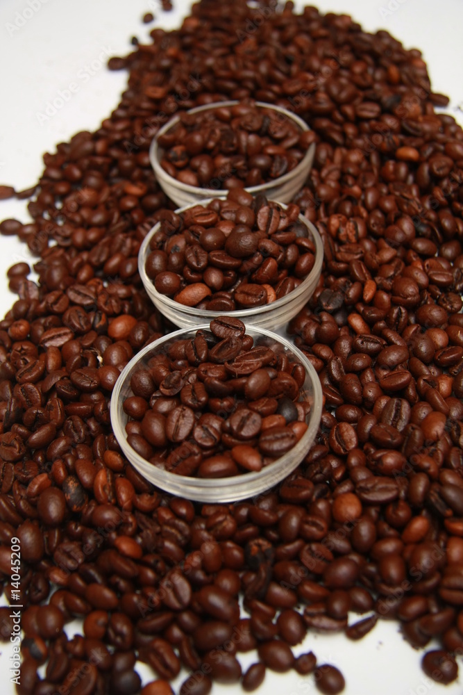 Fototapeta premium café