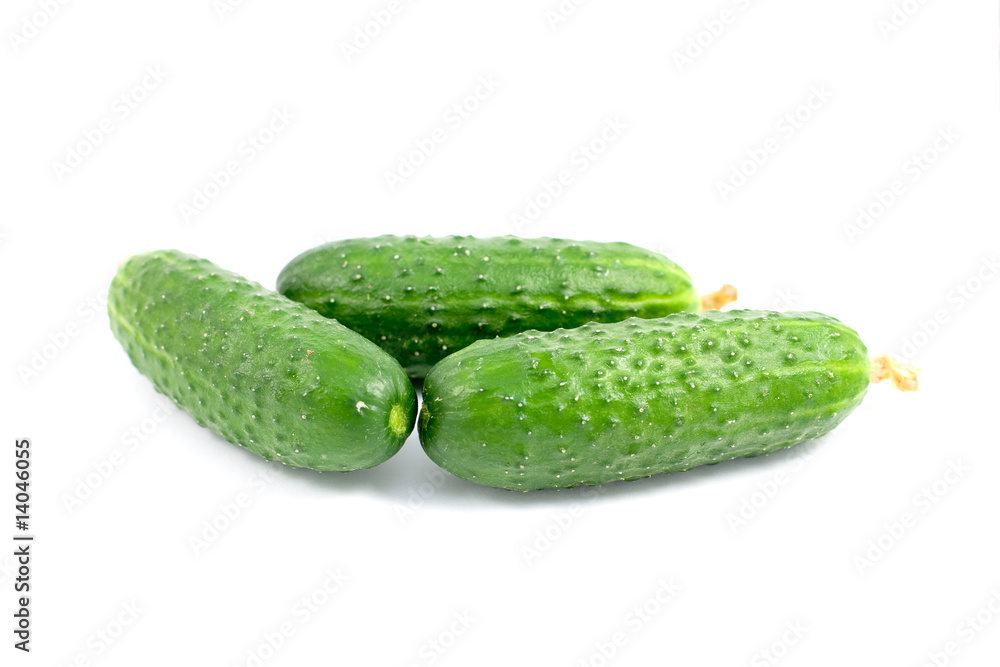 Cucumber Cucumber