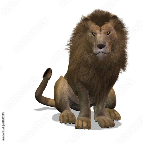Fototapeta Naklejka Na Ścianę i Meble -  Big Cat Lion Male