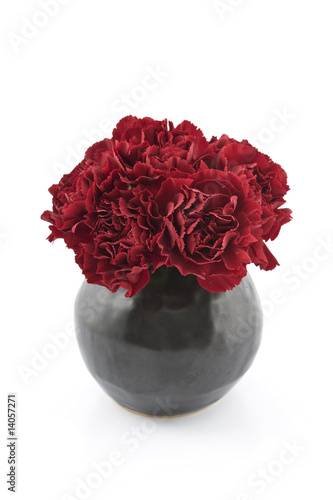 bouquet of red carnation on black vase photo