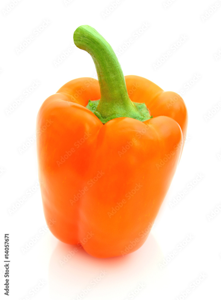 Paprika Paprika