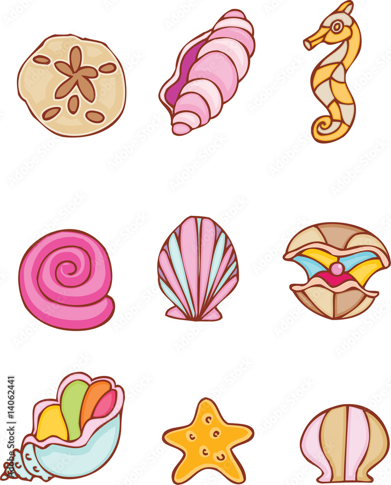 Seashell Set Seashell Set