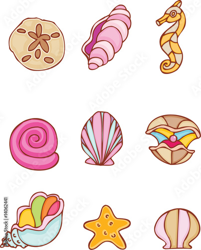 Seashell Set