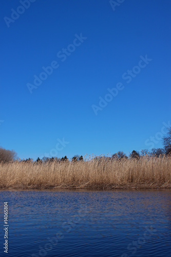 Straw river shore under clear blue sky