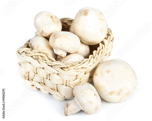 Fresh appetizing mushrooms