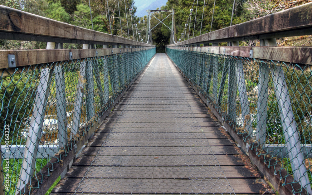 Bridge in a New Zealand rainforest