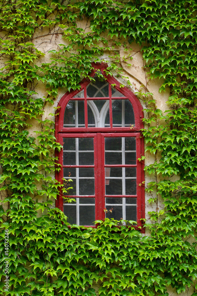 A old window on a historical building.