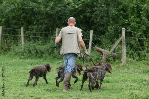famlle barbu tcheque partant à la chasse avec leur maitre © Dogs