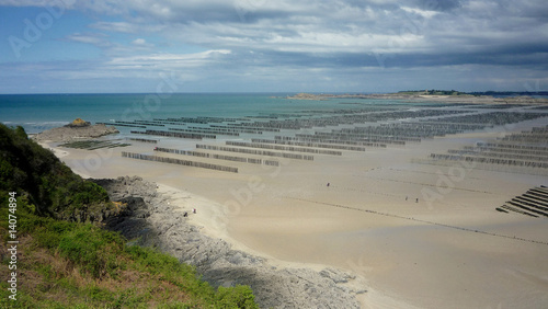 littoral des moules