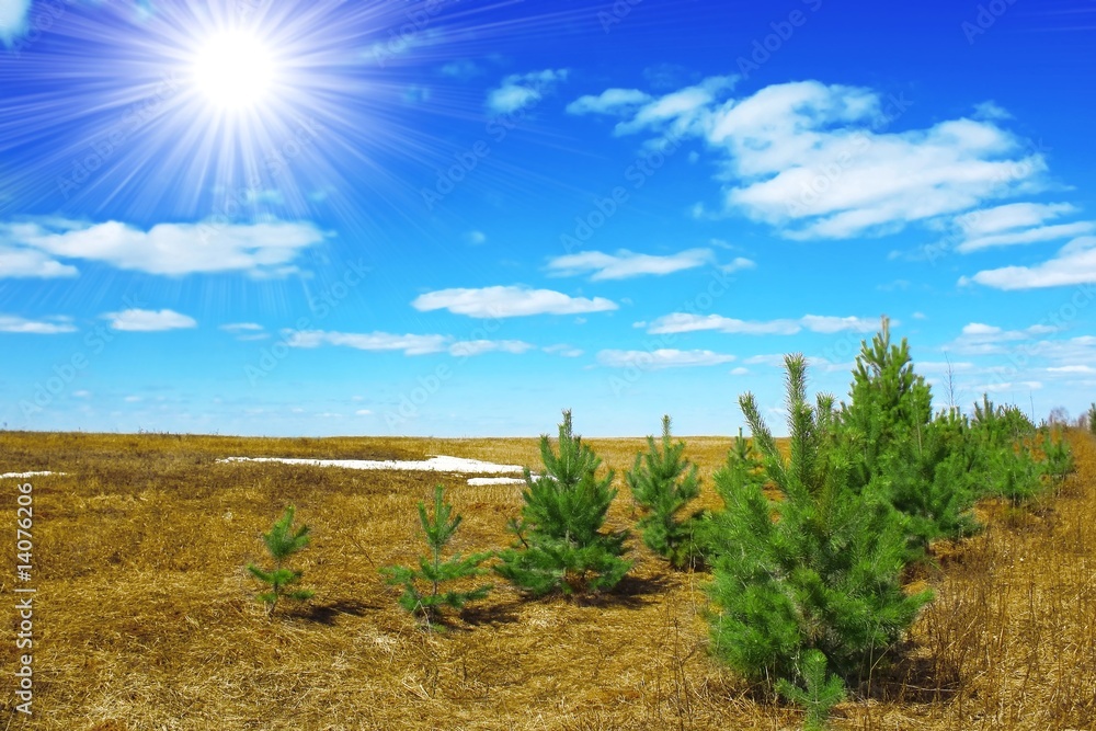 Obraz premium Spring