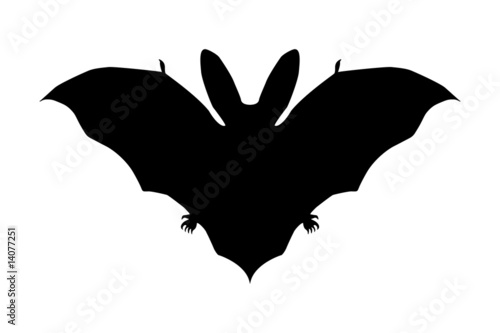 Bat