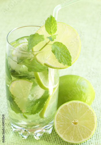 Mojito cocktail on green background © Olena Talberg