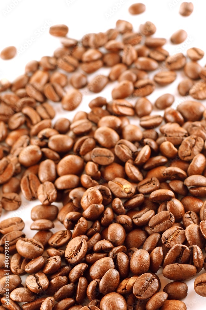 Naklejka premium Coffee