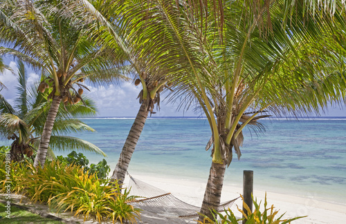 Palm Trees with Hammock on Tropical Beach