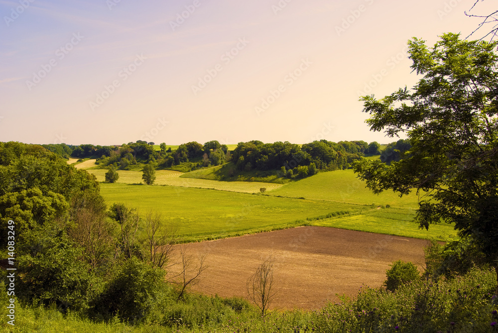 Fototapeta premium campi e colline
