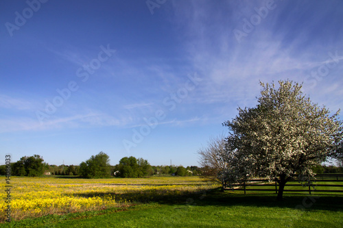 Scenic Spring Time Landscape © SNEHIT PHOTO