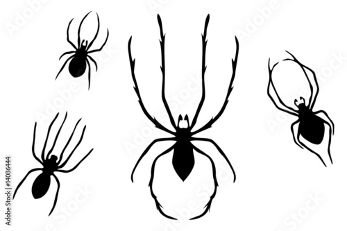 Collection of Spiders - two