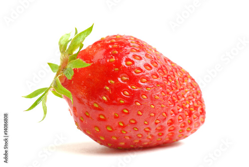 fraise photo