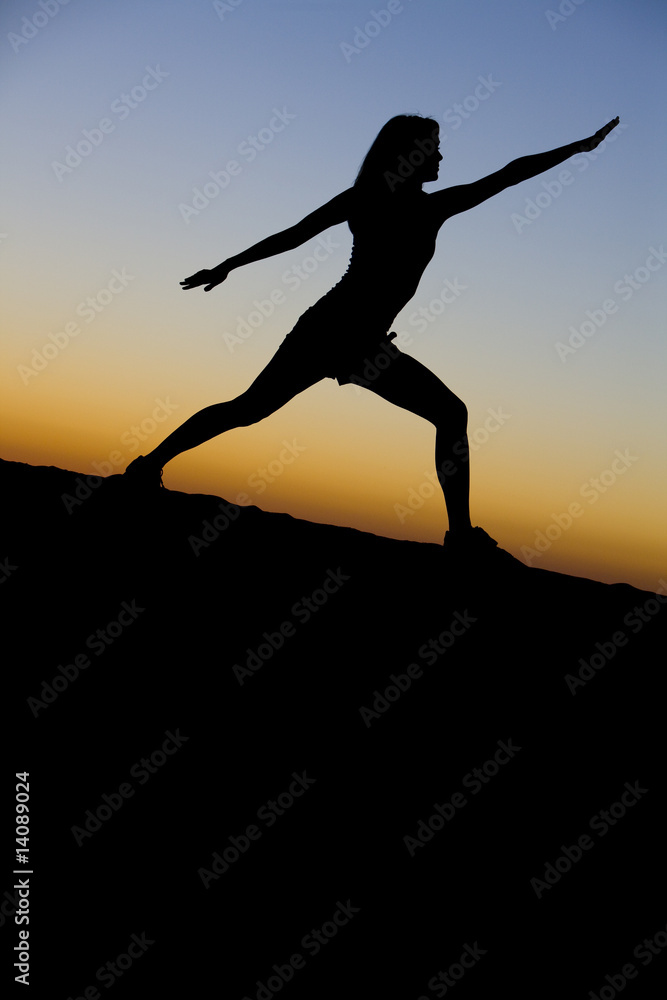 custom made wallpaper toronto digitalPeaceful Silhouette