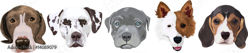 various face dog