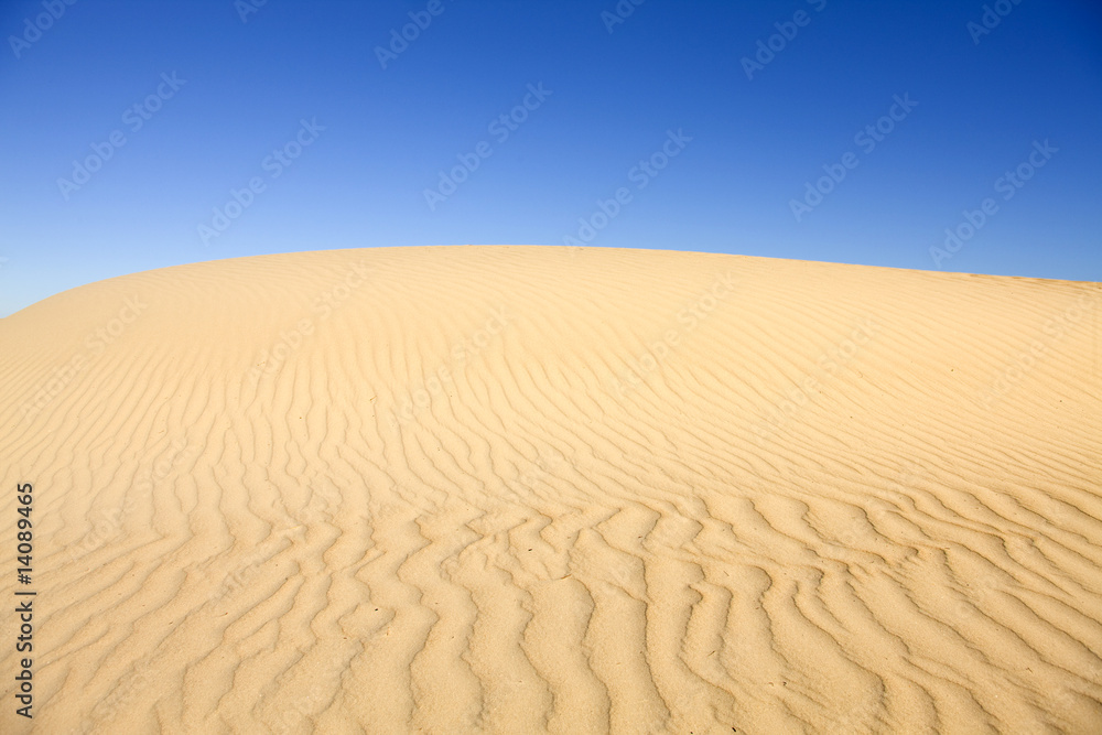 Desolate Sand Dune Desert Desolate Sand Dune Desert
