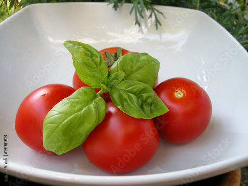 Tomatenernte