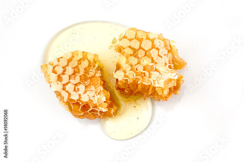 Photography Honeycomb