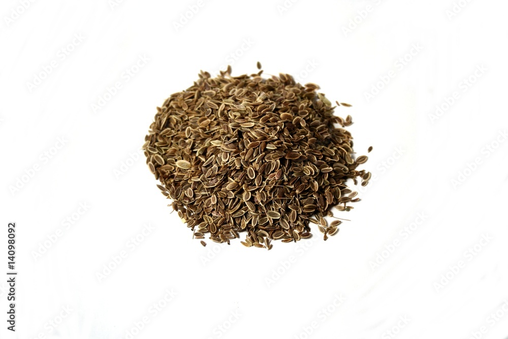 Dill, aneto Dill, aneto