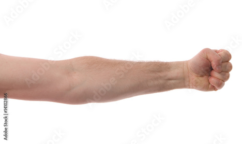 Isolated Arm with Fist