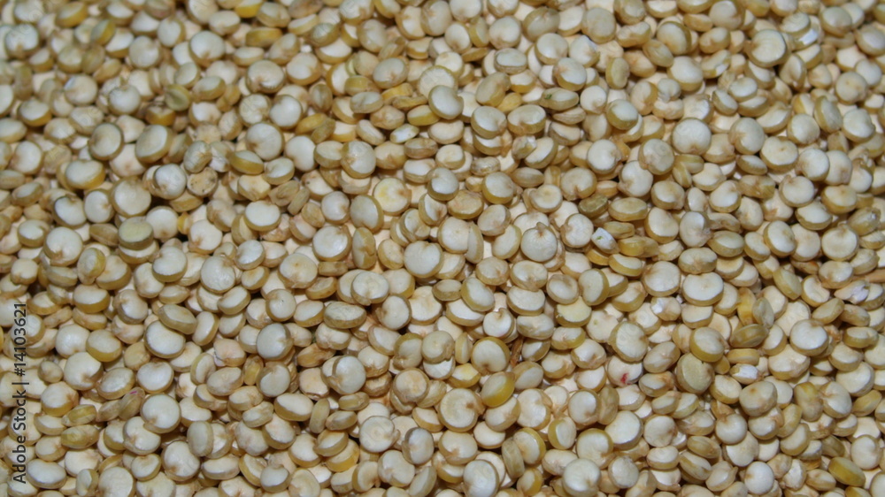 quinoa quinoa