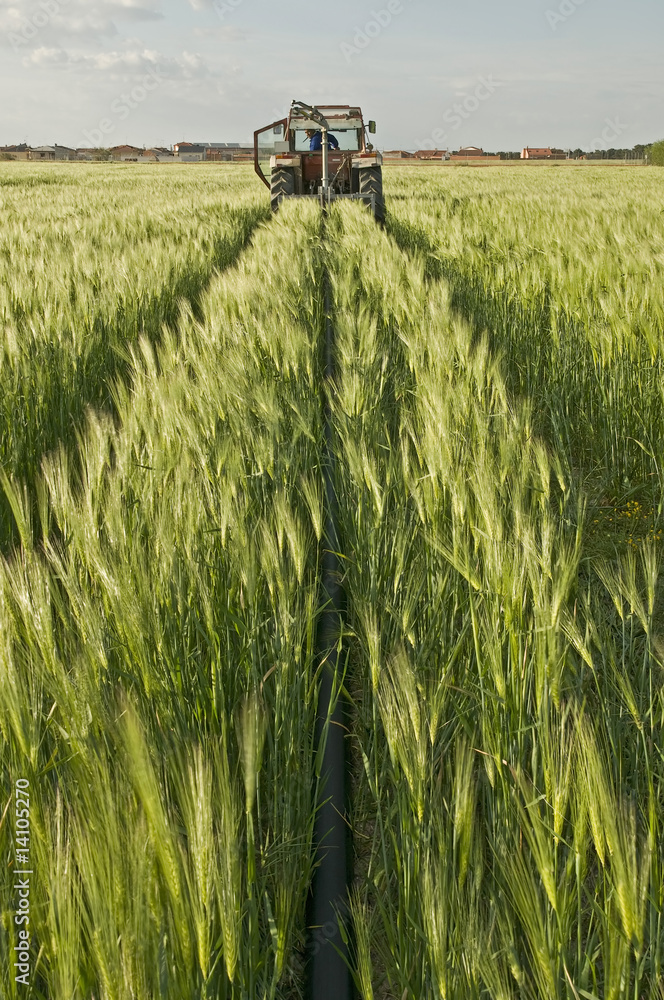 Naklejka premium agriculture 8