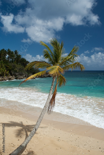 Tropical beach