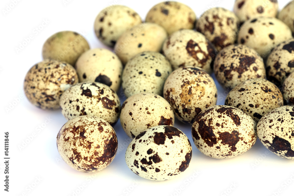 oeufs de caille oeufs de caille