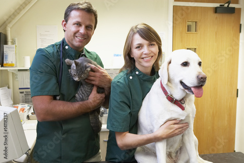 Fototapeta Naklejka Na Ścianę i Meble -  Vetinary Staff With Dog And Cat In Surgery