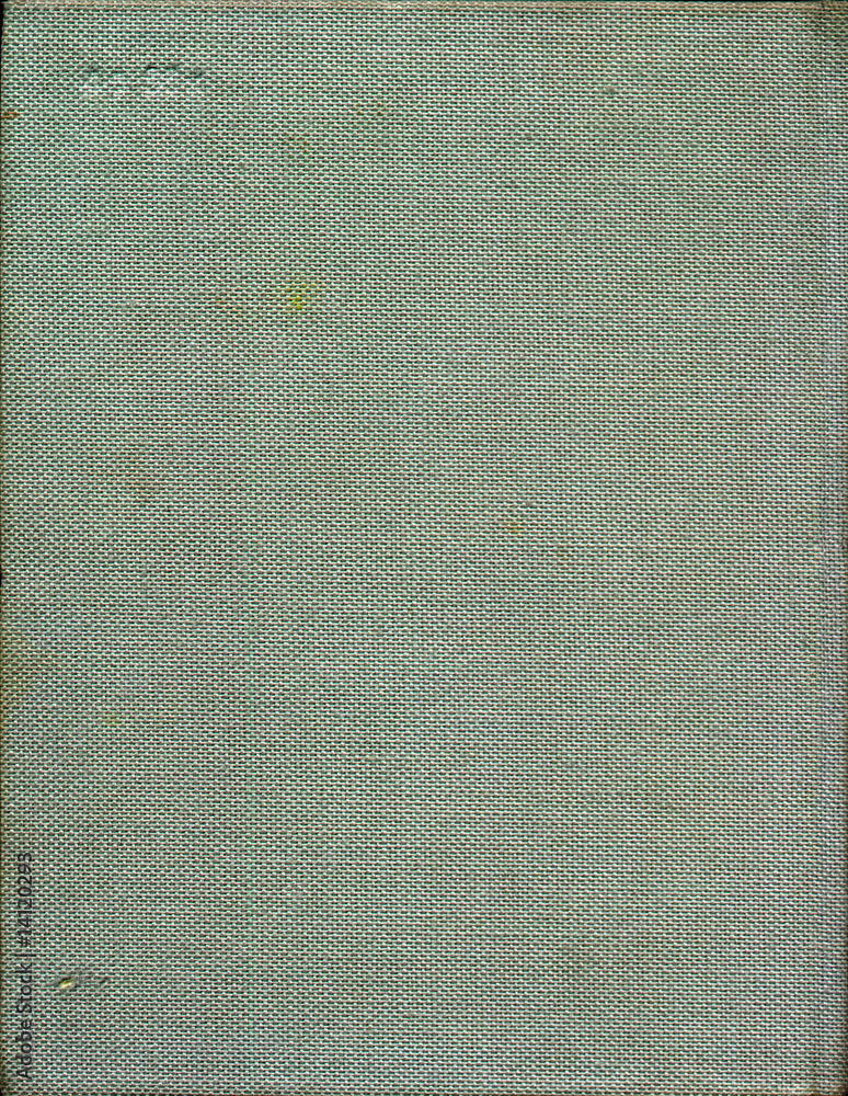 Fototapeta premium Tattered Cover