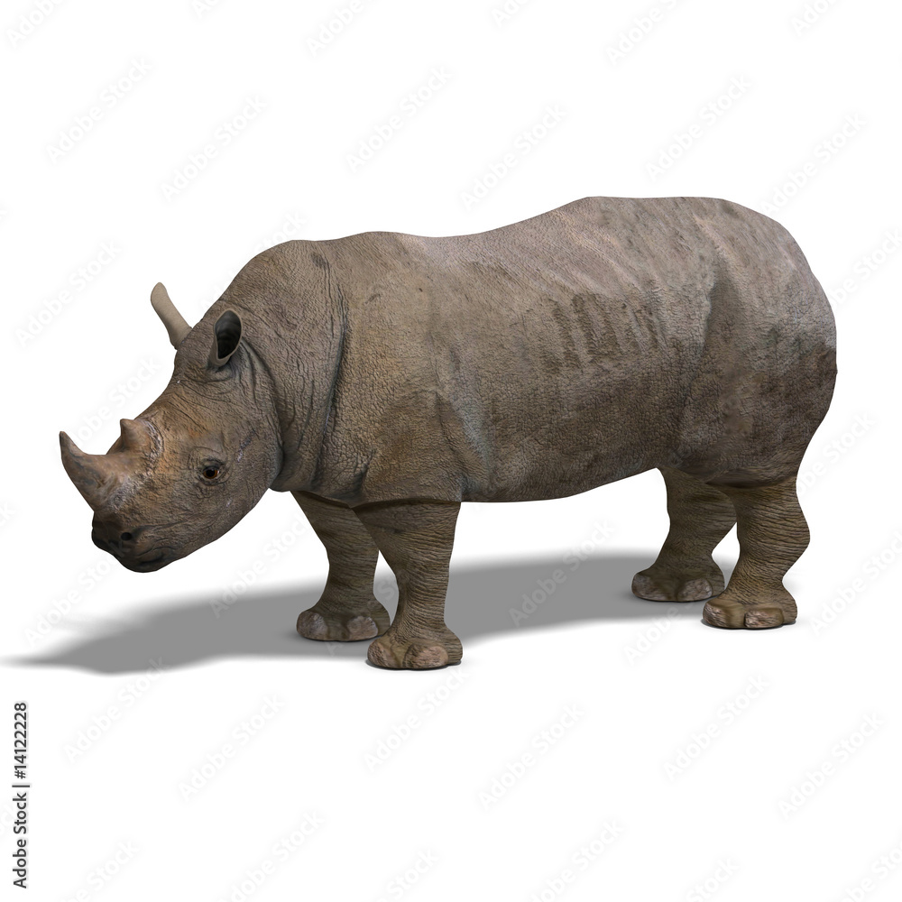 Rhinoceros Rendering