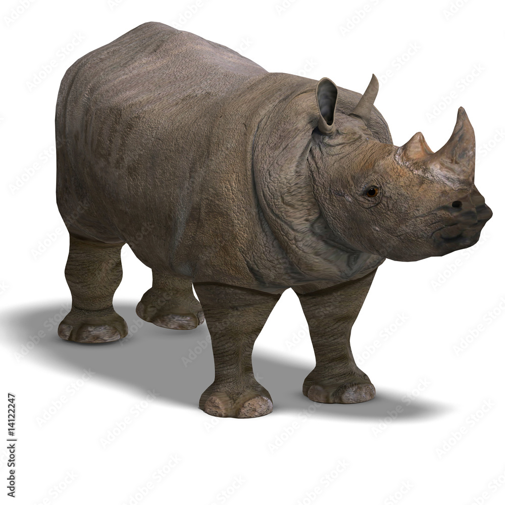 Obraz premium Rhinoceros Rendering