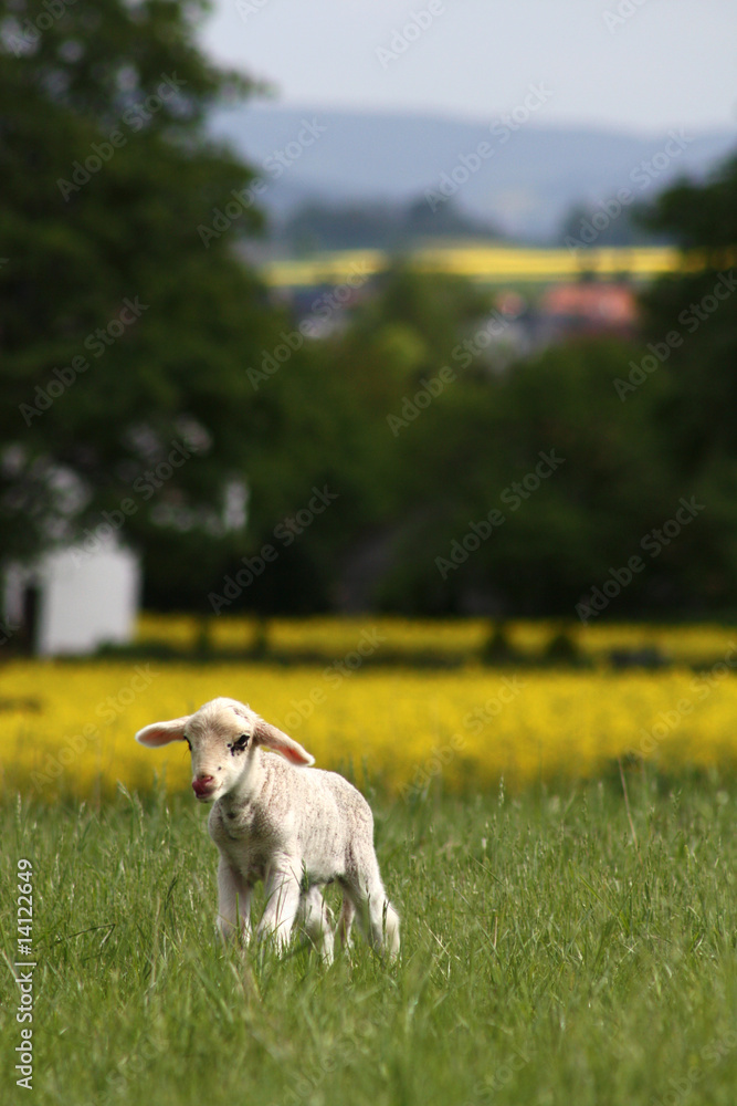 Obraz premium allein