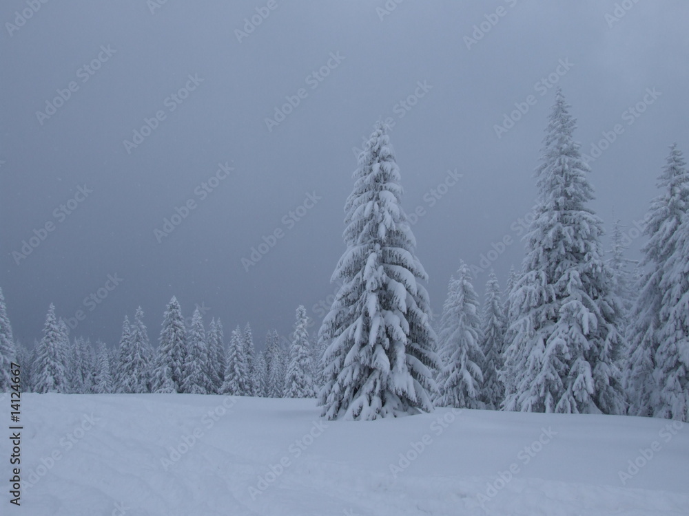 Fototapeta premium Beskidy_zimą_5