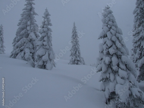 Wallpaper Mural Beskidy_zimą_4 Torontodigital.ca