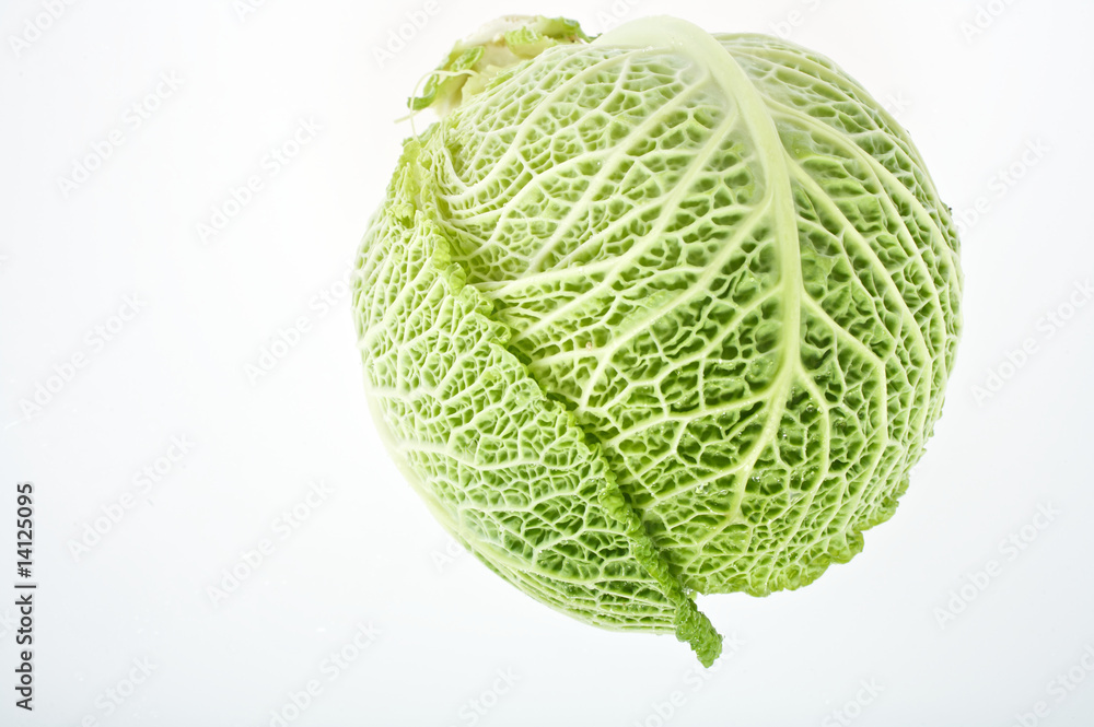 Wirsingkohl Wirsingkohl