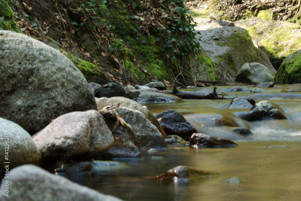 Fototapeta premium A small rapid at the base of Inglis falls