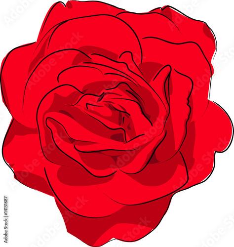 rose