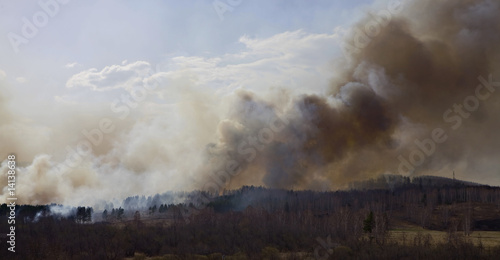 Fire in forest