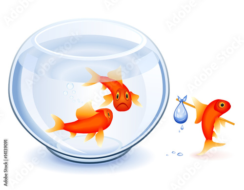 Goldfish emancipation