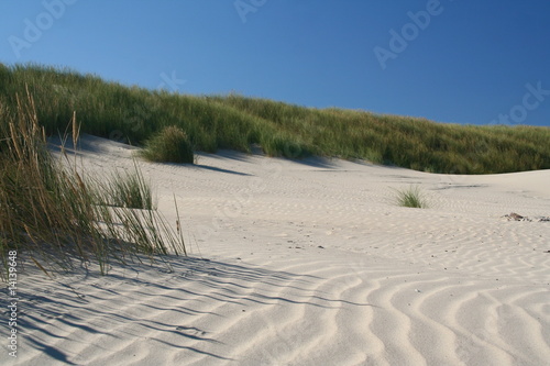 Dünenlandschaft