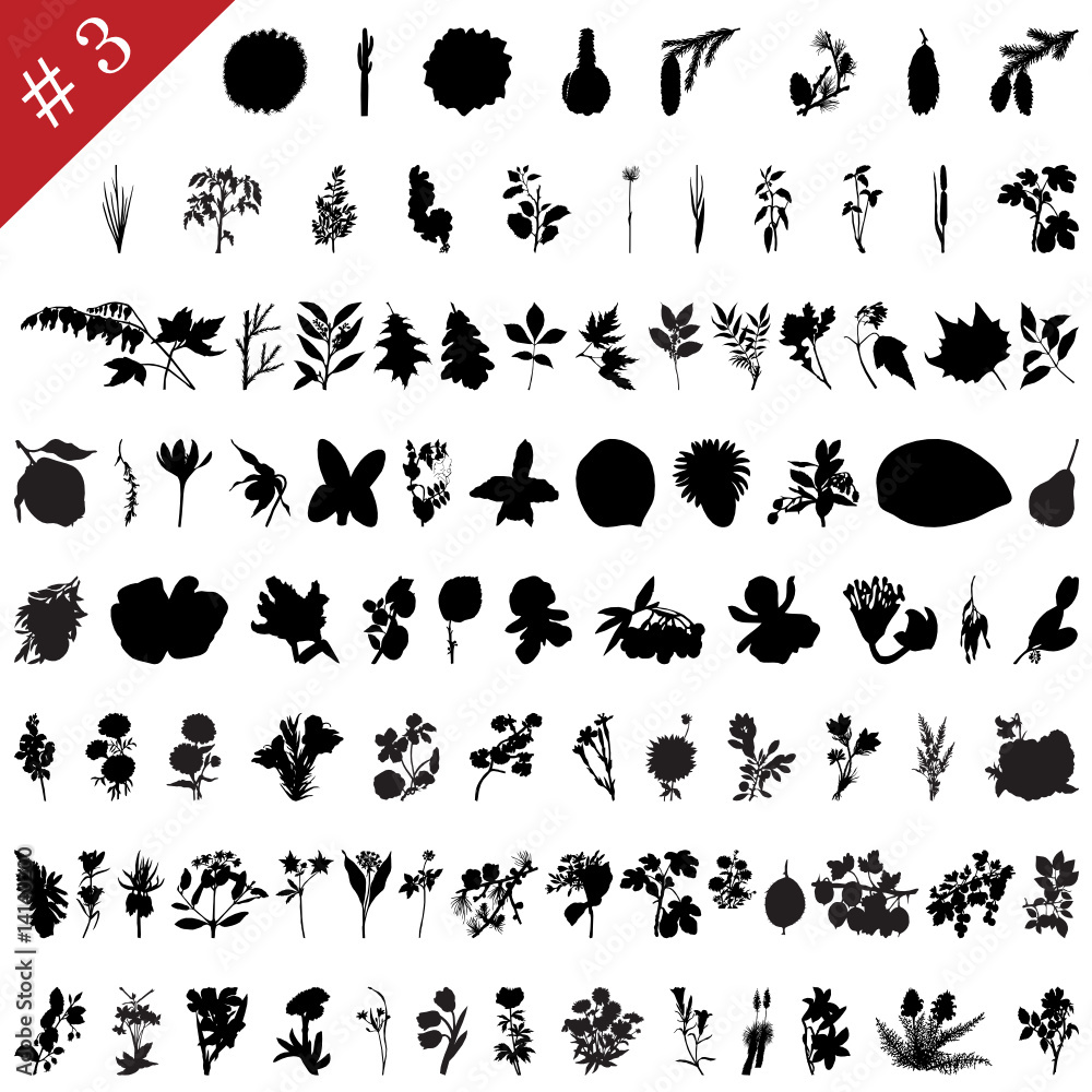 Obraz premium plants silhouette collection # 3