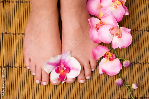 Woman's pedicured feet with orchid flowers